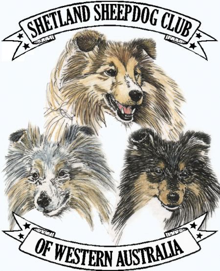 Shetland sheepdog best sale clubs